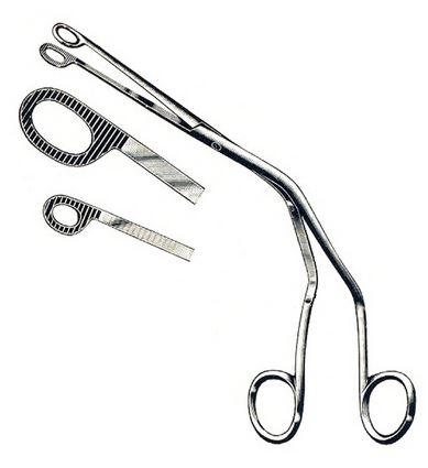 Pince de Magill adulte