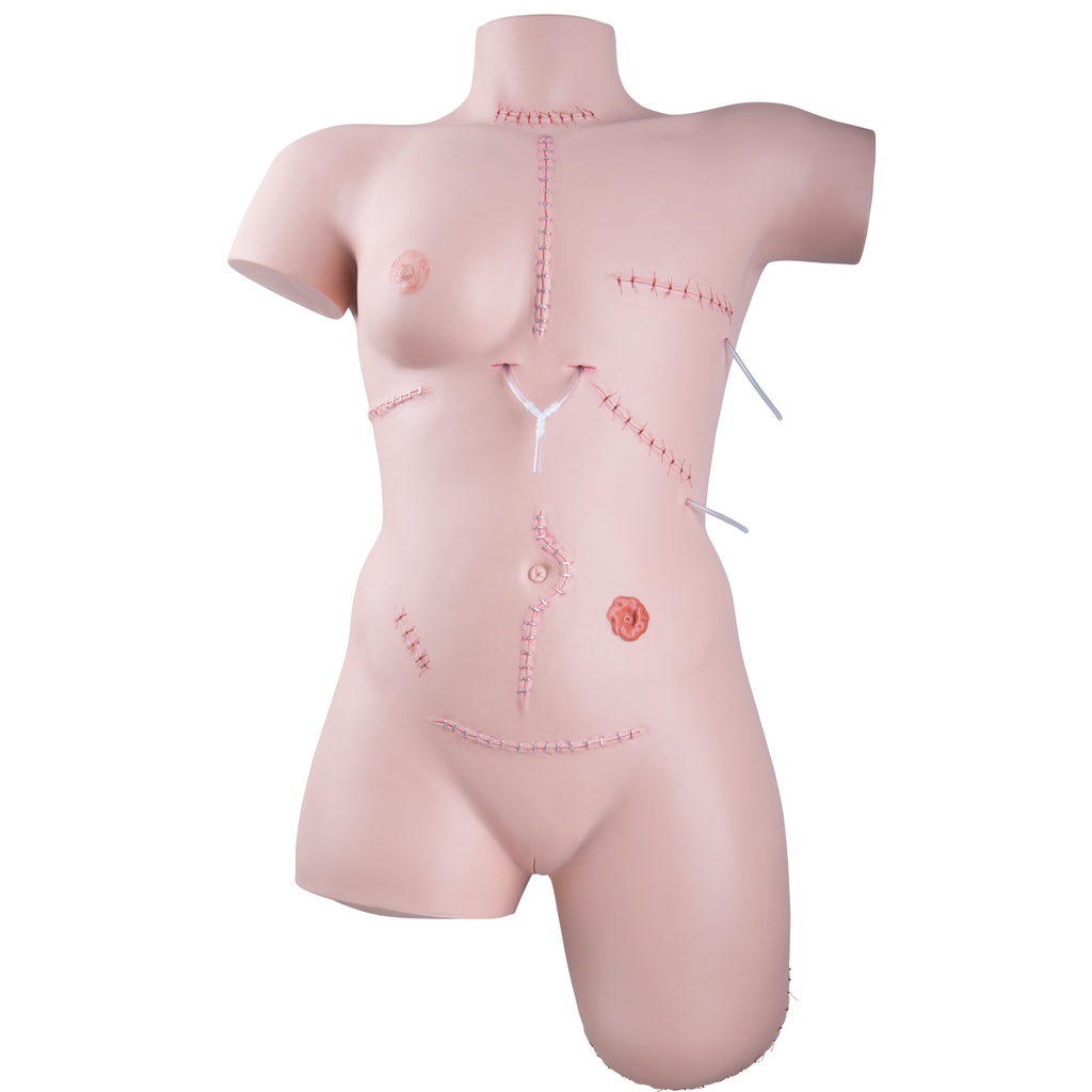 Simulateur de soins des plaies et techniques de pansement
